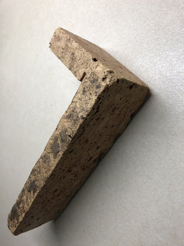 Brick corner fossil